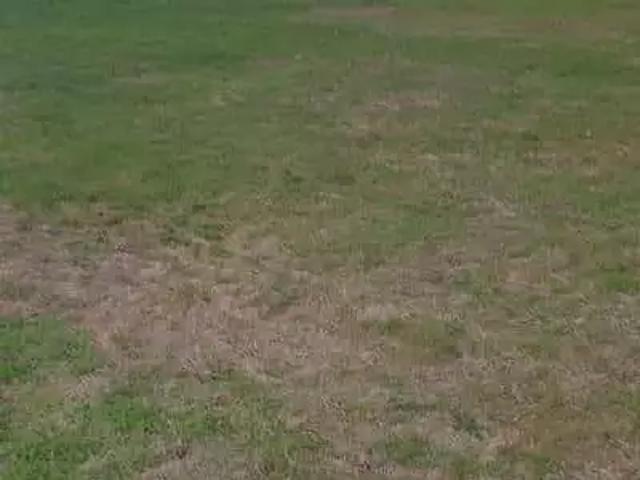 Terrain vente à Saint-aignan-grandlieu, La Groissonnerie