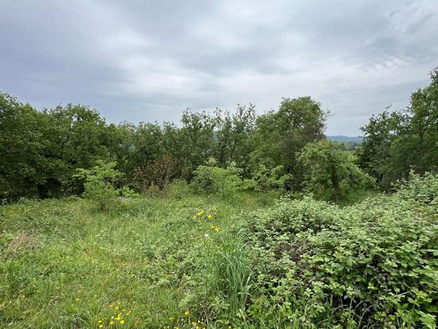 Terrain vente à Largentière, Saint-alban-auriolles
