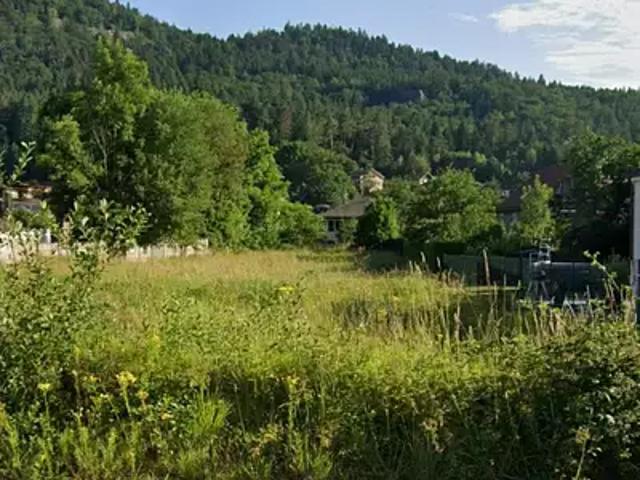Terrain vente à Saint-Amé, Vosges