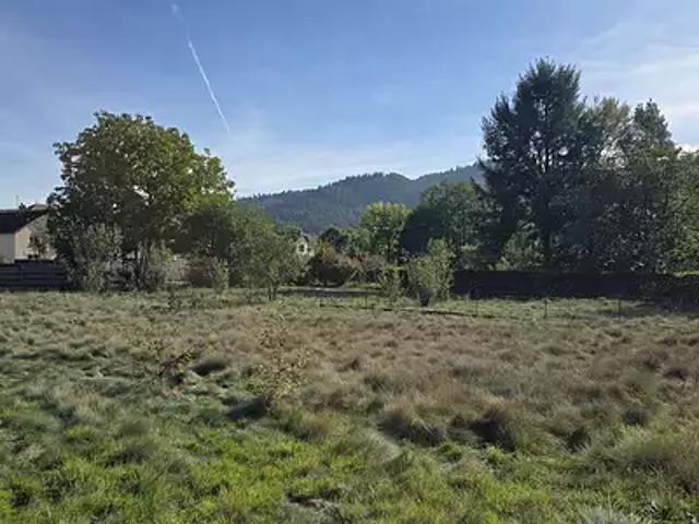 Terrain vente à Saint-Amé, Vosges