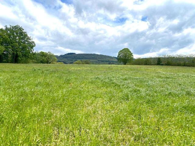 Terrain vente à Lons-le-Saunier, Saint-amour