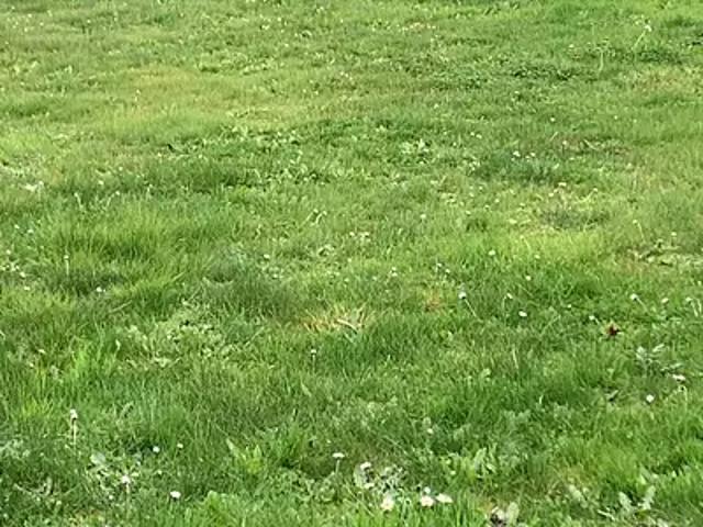 Terrain vente à France métropolitaine, Saint-andré-de-cubzac