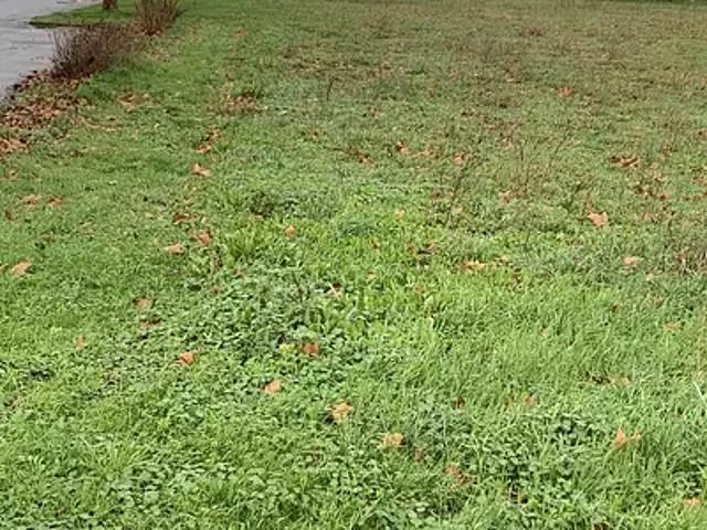 Terrain vente à Blaye, Saint-andré-de-cubzac