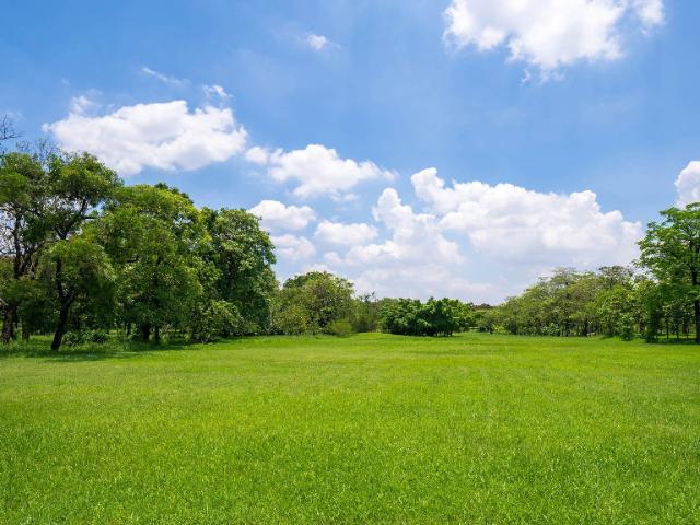 Terrain vente à France métropolitaine, Saint-andré-de-cubzac