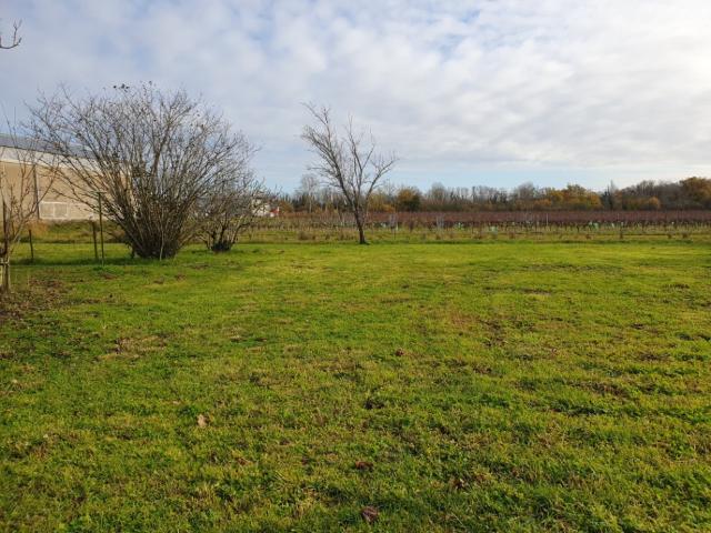 Terrain vente à Blaye, Saint-andré-de-cubzac