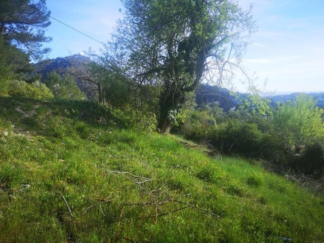 Terrain vente à France métropolitaine, Saint-André-de-la-Roche