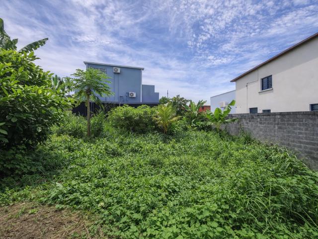 Terrain vente à La Réunion