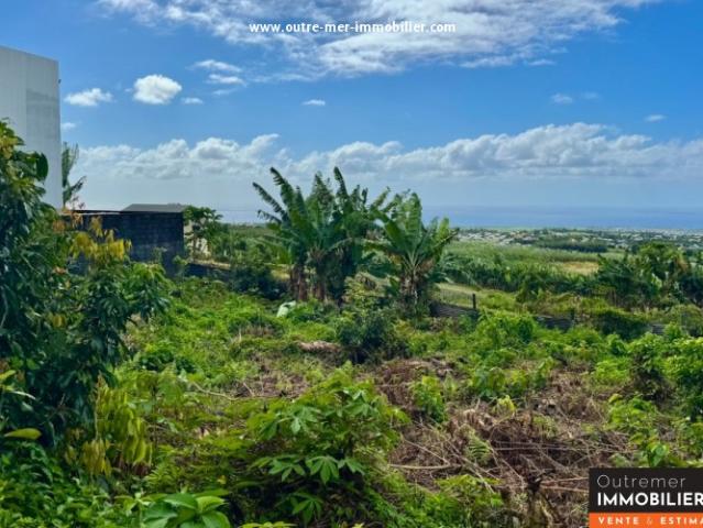 Terrain vente à La Réunion