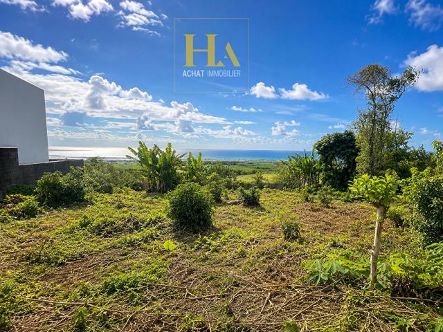 Terrain vente à La Réunion