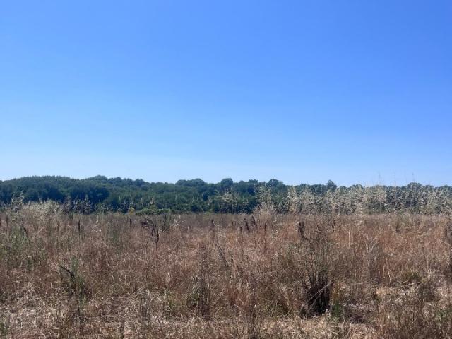 Terrain vente à Saint-augustin, Charente-Maritime