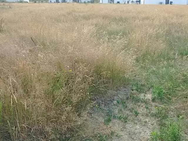 Terrain vente à France métropolitaine, Saint-avaugourd-des-landes
