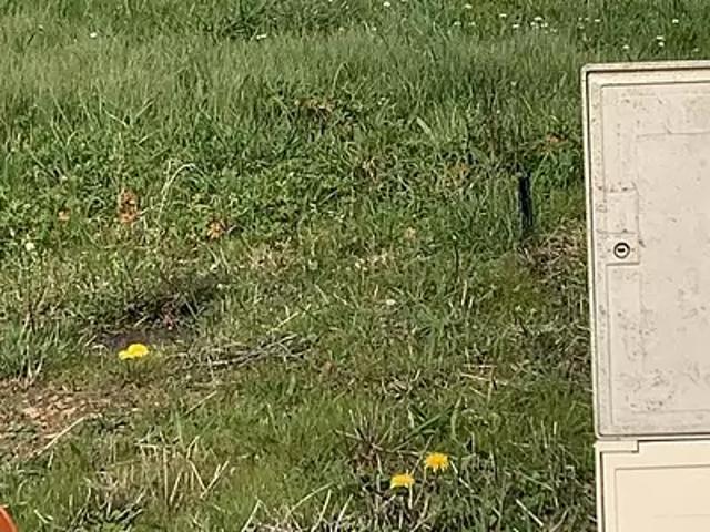 Terrain vente à France métropolitaine, Saint-avaugourd-des-landes