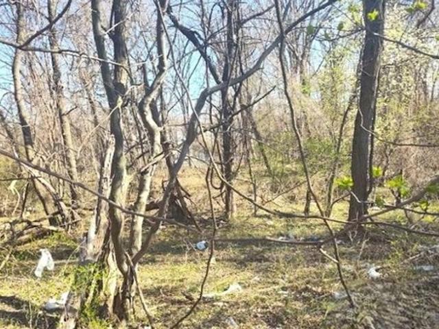 Land for sale in Phelps Corner, Oxon Hill