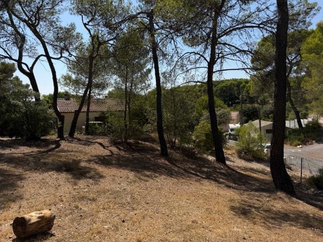Terrain vente à Saint-Bauzille-de-Montmel, Hérault