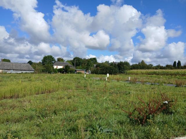 Terrain vente à Lisieux, Saint-benoît-d'hébertot