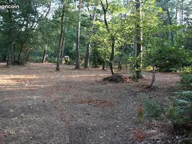 Terrain vente à Chinon, Saint-benoît-la-forêt