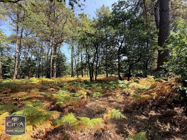 Terrain vente à Saint-Benoît-la-Forêt, Indre-et-Loire