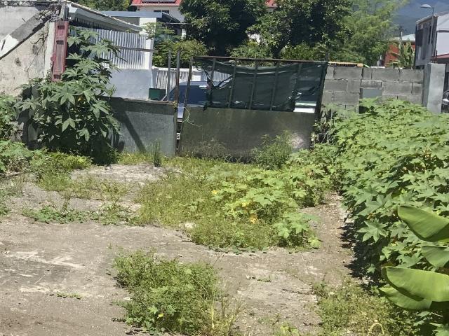 Terrain vente à La Réunion