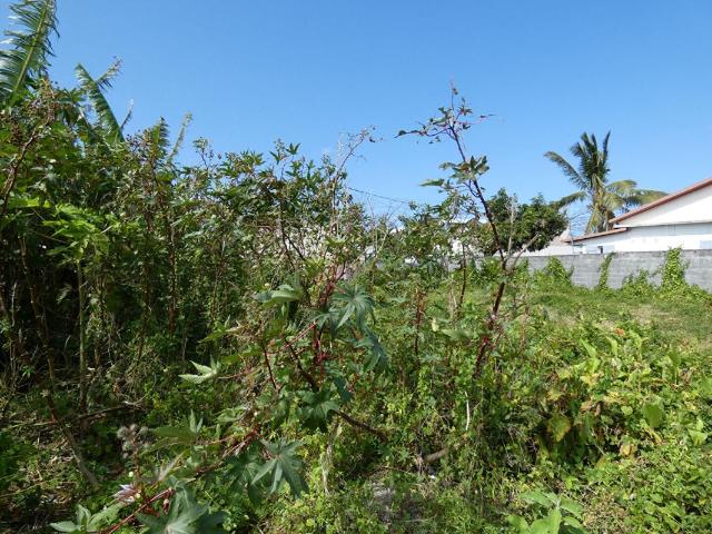 Terrain vente à La Réunion