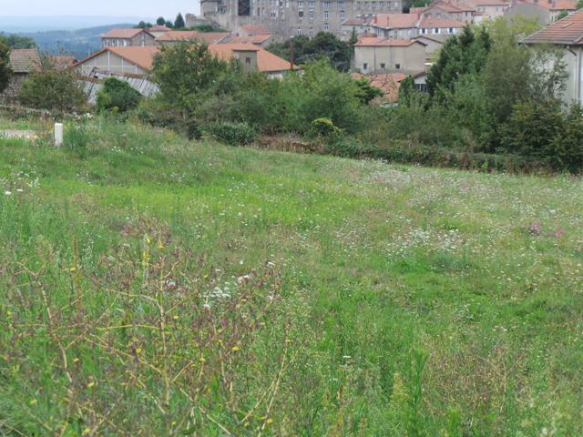 Terrain vente à Montbrison, Saint-bonnet-le-château