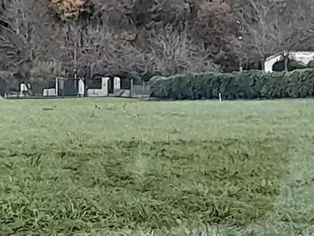 Terrain vente à Saint-brice, Chez Gautron