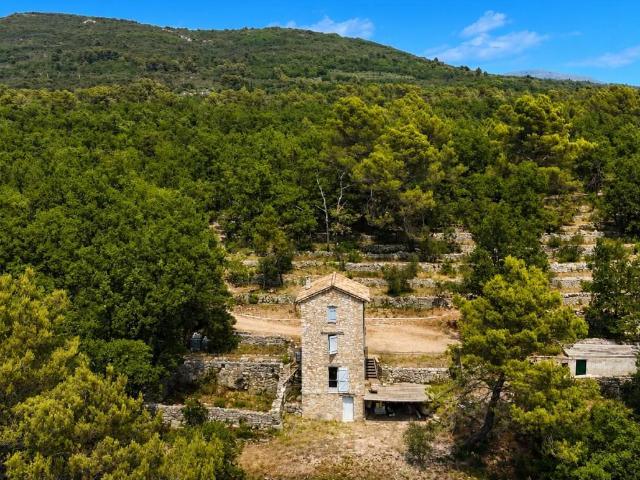 Terrain vente à Saint-Cézaire-sur-Siagne, Alpes-Maritimes