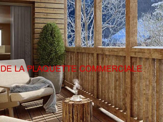 Appartement vente à Briançon, Saint-chaffrey