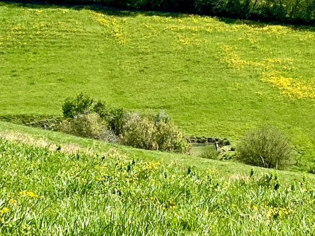 Terrain vente à Saint-Christaud, Gers