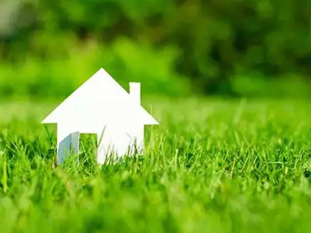 Terrain vente à France métropolitaine, Saint-christoly-de-blaye