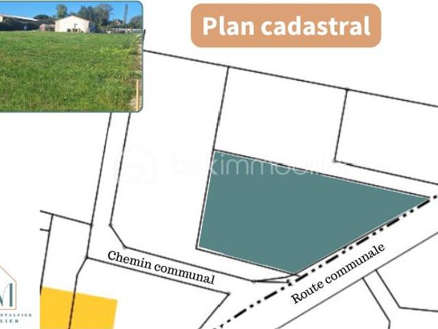 Terrain vente à France métropolitaine, Saint-christoly-de-blaye