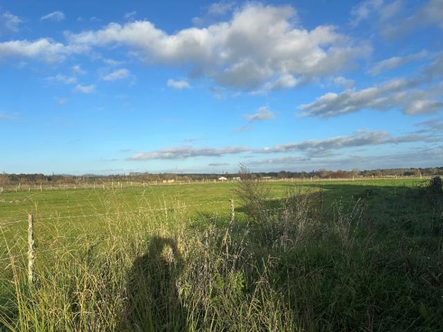 Terrain vente à France métropolitaine, Saint-christoly-de-blaye