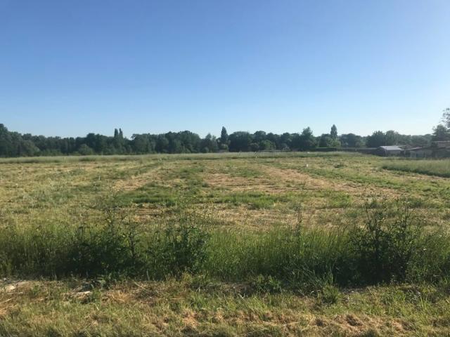 Terrain vente à Saint-christoly-de-blaye, Gironde