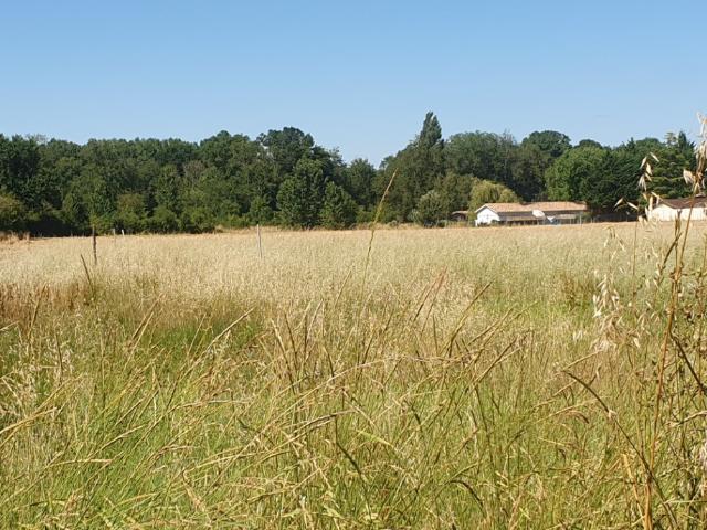 Terrain vente à France métropolitaine, Saint-christoly-de-blaye