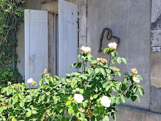 Maison vente à Lesparre-Médoc, Saint-christoly-médoc