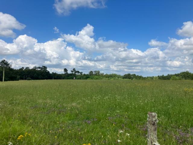 Terrain vente à Libourne, Saint-ciers-d'abzac