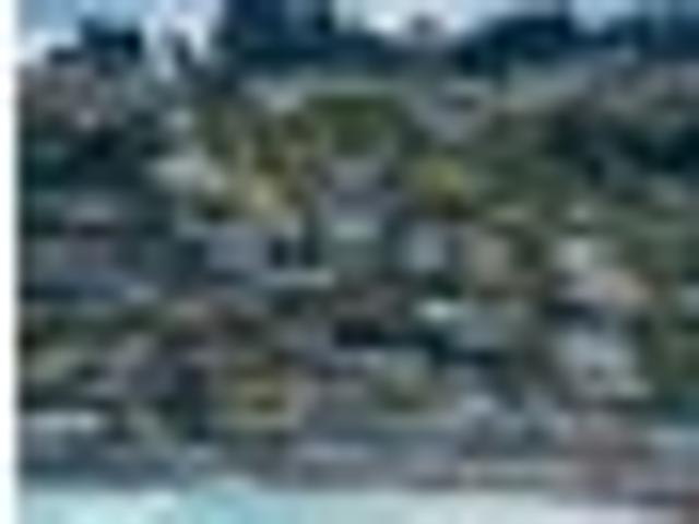 Apartment for rent in Otakou