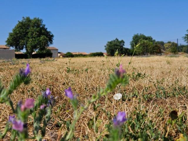 Terrain vente à Muret, Saint-clar-de-rivière