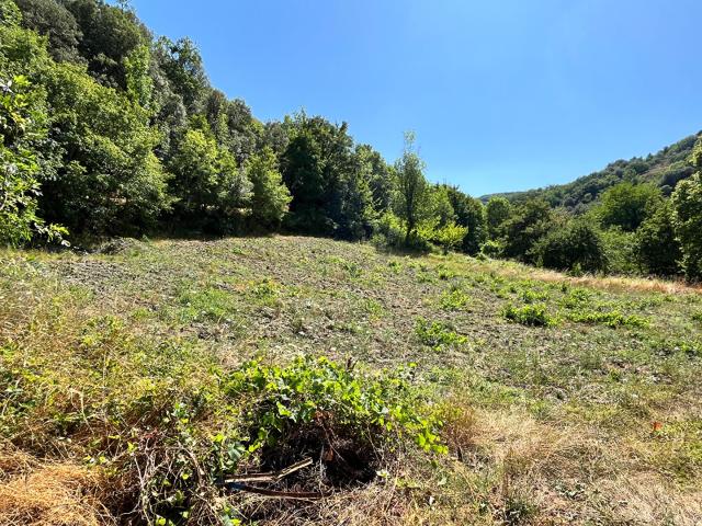 Terrain vente à Limoux, Saint-couat-du-razès