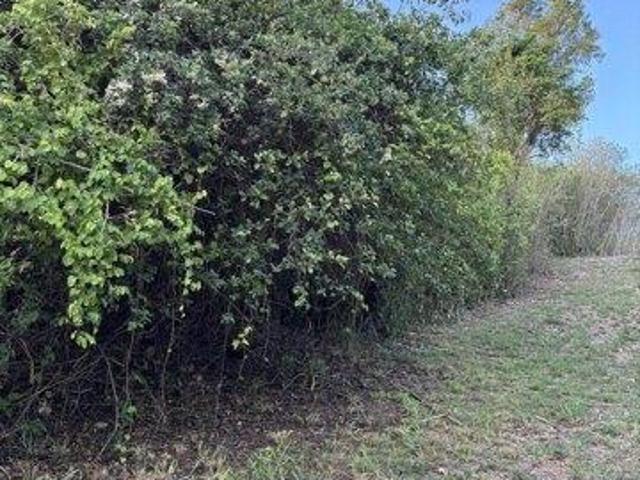 Land for sale