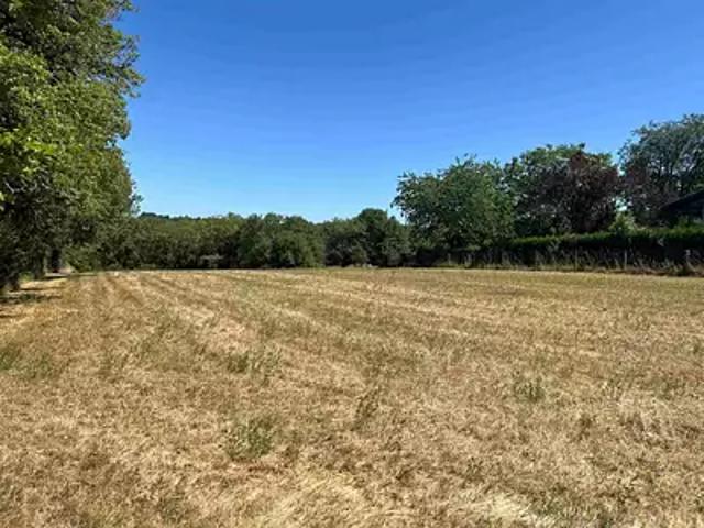 Terrain vente à Sarlat-la-Canéda, Saint-cybranet