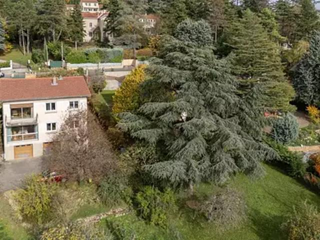 Maison vente à Lyon, Métropole de Lyon