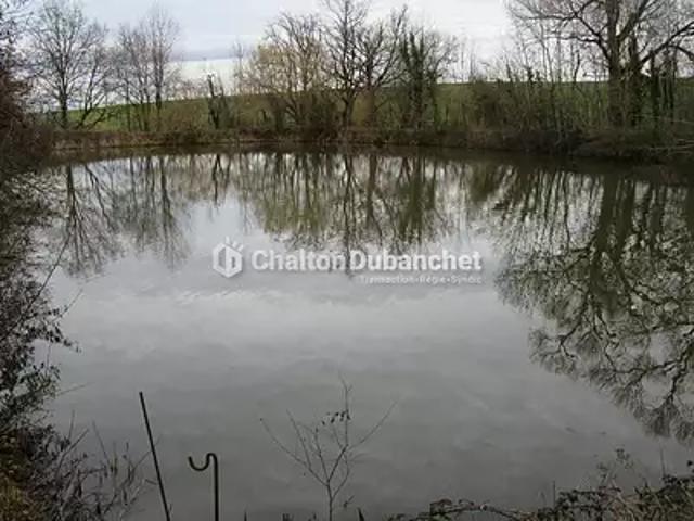 Terrain vente à Roanne, Saint-cyr-de-favières