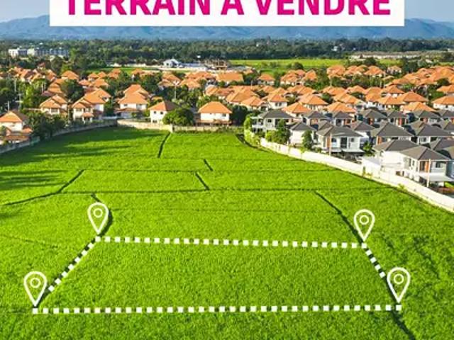 Terrain vente à La Réunion