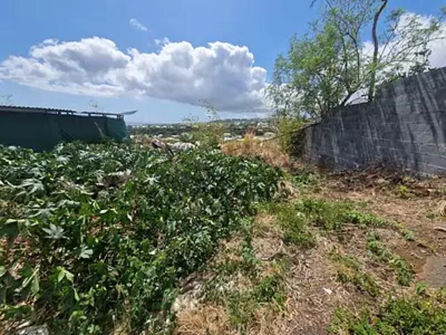 Terrain vente à La Réunion