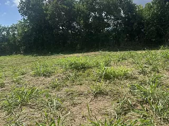 Terrain vente à La Réunion