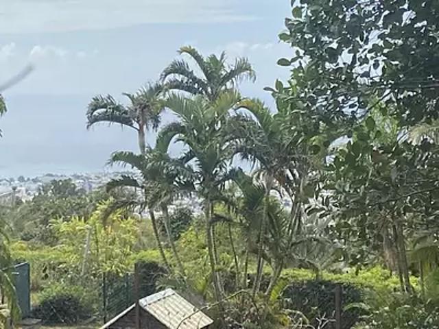 Terrain vente à La Réunion