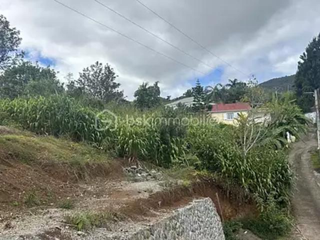 Terrain vente à La Réunion