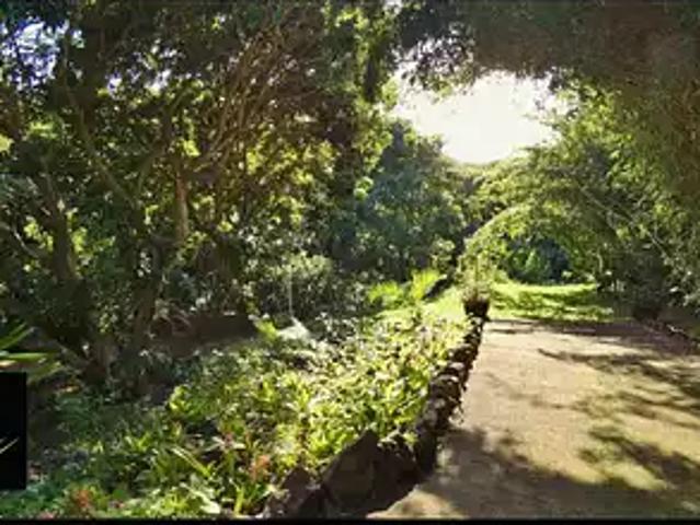 Terrain vente à La Réunion