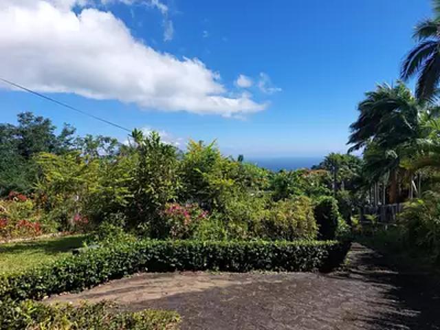 Terrain vente à La Réunion