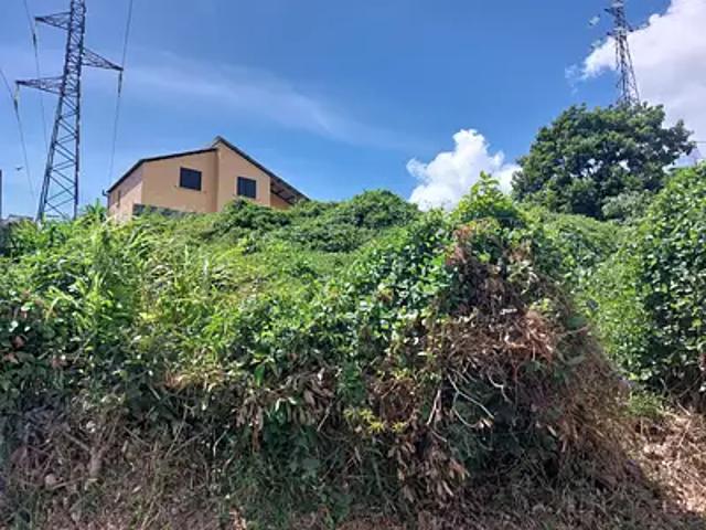 Terrain vente à La Réunion